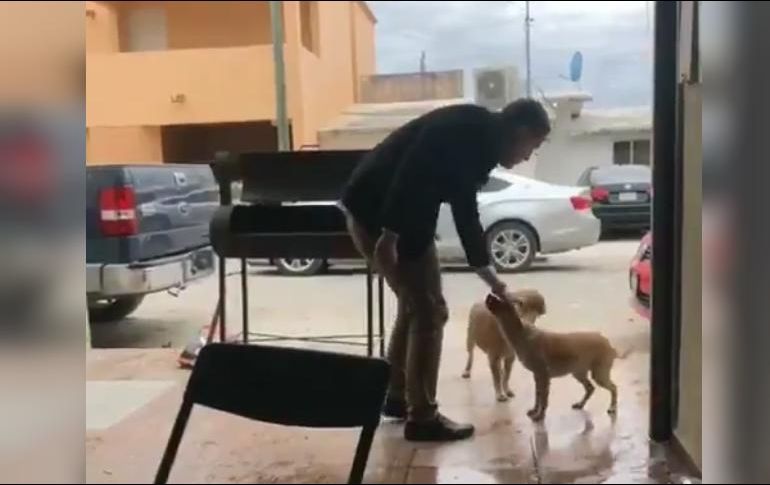 HOMBRE APUÑALA A UN PERRO EN PIEDRAS NEGRAS, COAHUILA