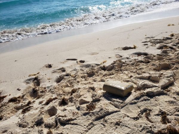 Encuentran un paquete de marihuana en ‘Mirador’ en Cancún