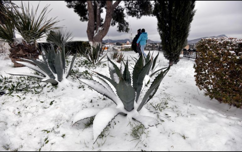 SUSPENDEN CLASES DOS DÍAS POR NEVADAS EN SONORA