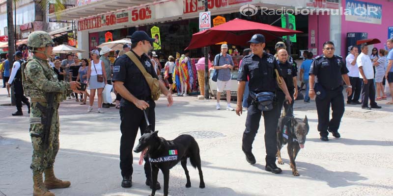 Con unidad canina se refuerza la vigilancia en el municipio de Solidaridad