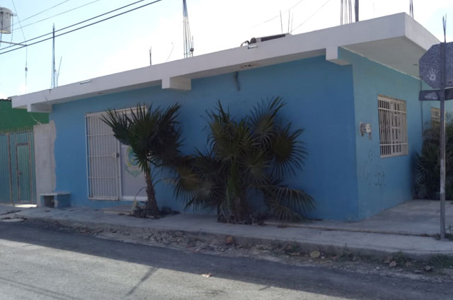 ‘Cae’ pesca por arribo de sargazo