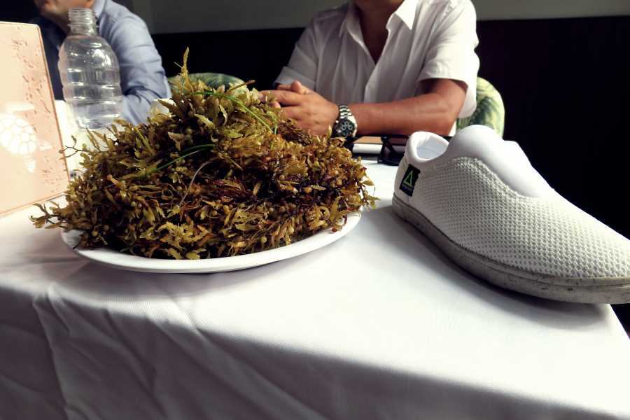 ¡FABRICAN ZAPATOS CON SARGAZO Y PET!