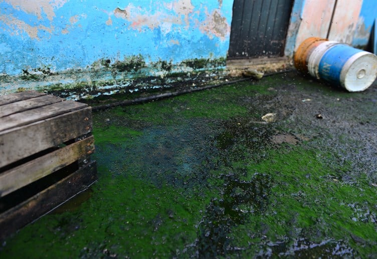 ESTAS TRES COLONIAS DE VILLAHERMOSA PRESENTAN MÁS CASOS DE DENGUE