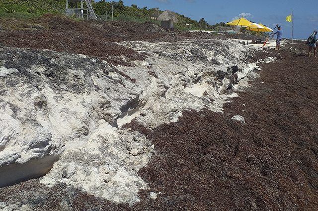 Erosíon de playa pública ahuyenta a los bañistas