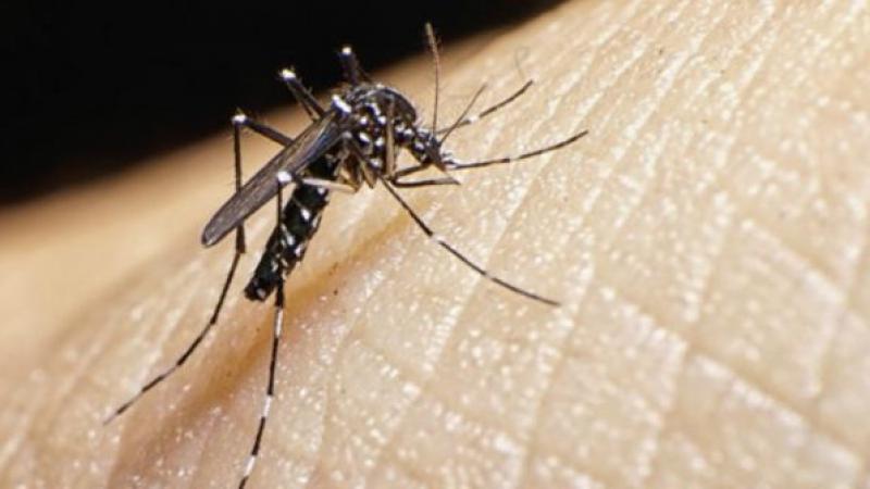 VAN 16 CASOS DE DENGUE CLÁSICO EN COLONIAS DE CENTRO