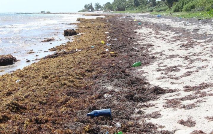 Sin servicios públicos la Costa Maya de Mahahual