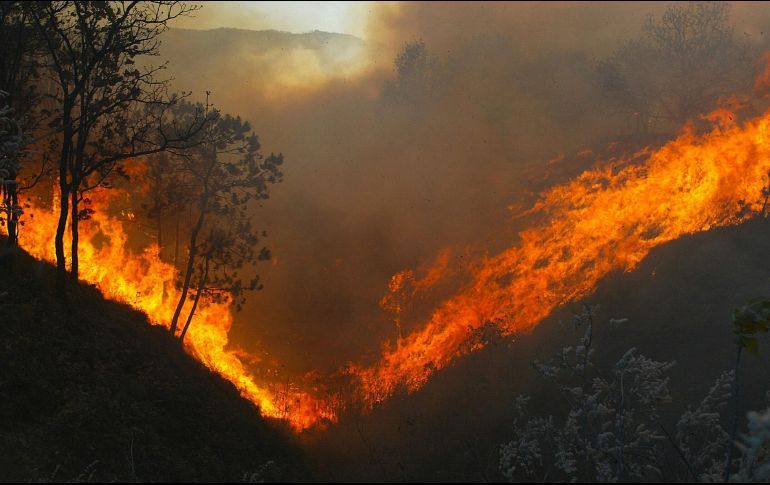 30 BOMBEROS MUEREN AL INTENTAR APAGAR UN INCENDIO EN CHINA
