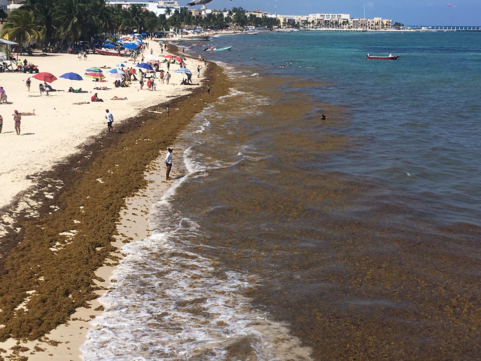Se pierde el blanco de los arenales ante Sargazo