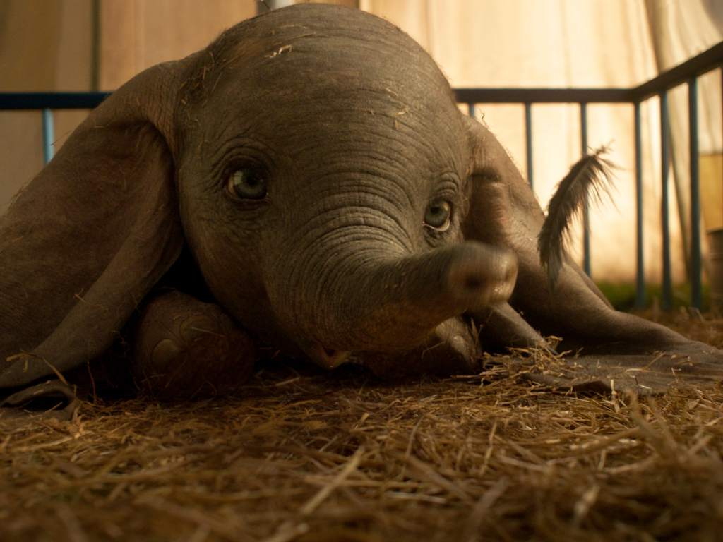«DUMBO», PRIMER LUGAR DE TAQUILLA AUNQUE CON POCA FUERZA