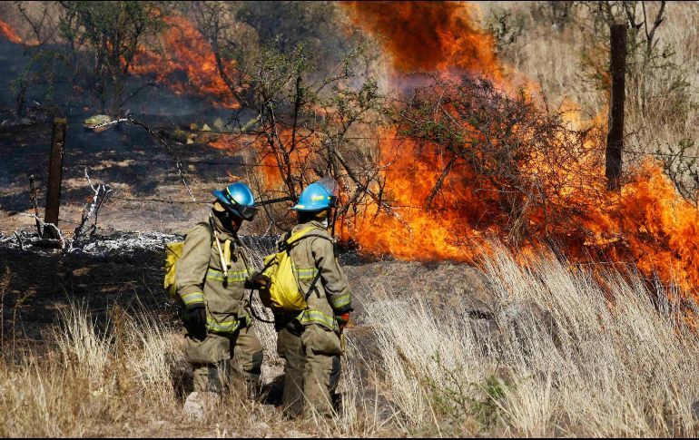 EN CUATRO MESES, SE REGISTRAN MÁS DE DOS MIL INCENDIOS FORESTALES EN MÉXICO