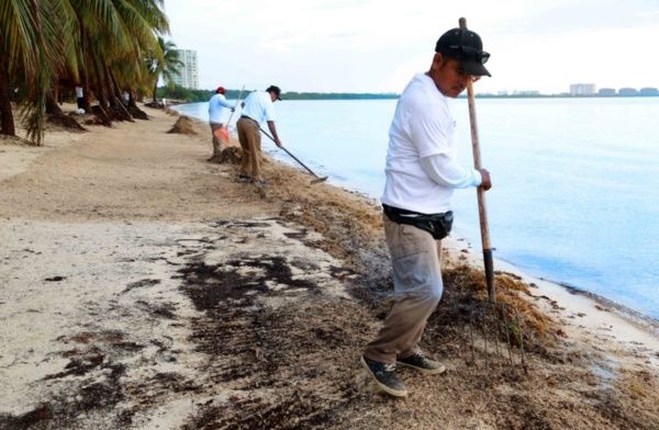 Ayuntamiento Benito Juárez prioriza el cuidado de sus playas