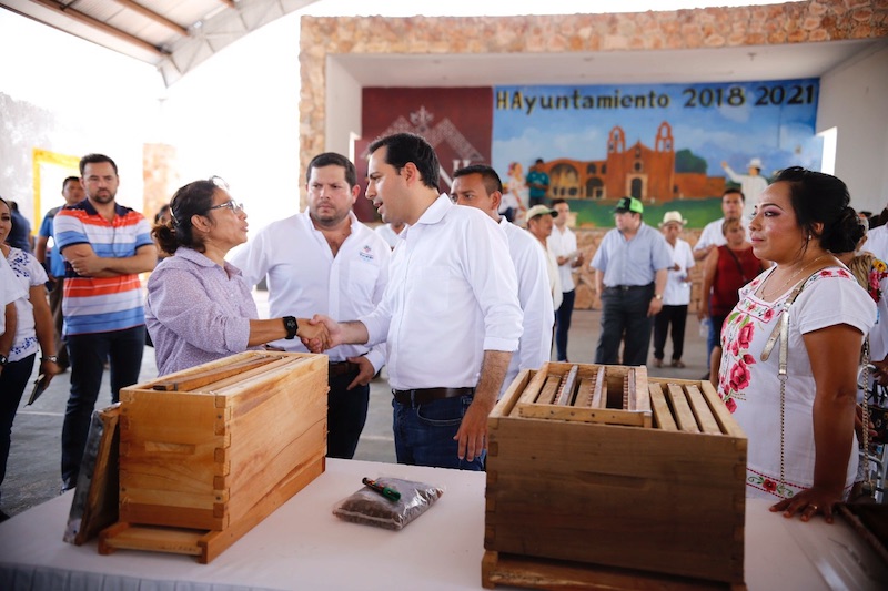 IMPULSA EL GOBERNADOR MAURICIO VILA DOSAL LA PRODUCCIÓN DE MIEL EN YUCATÁN