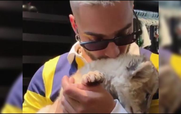 MALUMA CIERRA INSTAGRAM TRAS ESTALLAR POR CRÍTICAS DE VIDEO JUNTO A LEÓN