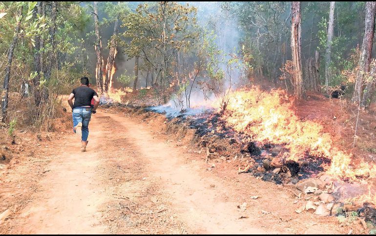 MÉXICO ES SEGUNDO LUGAR MUNDIAL EN ALERTAS POR INCENDIOS FORESTALES