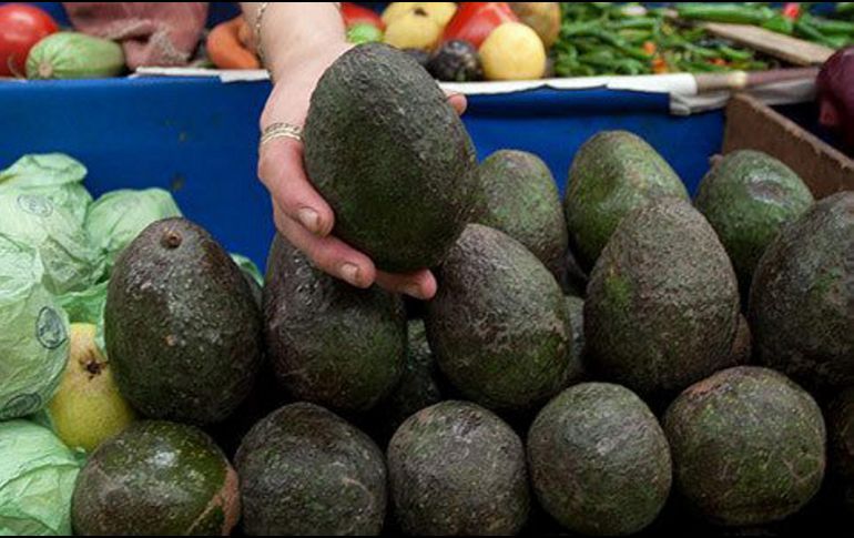EL AGUACATE ALCANZA LOS 100 PESOS Y PODRÍA LLEGAR A LOS 130