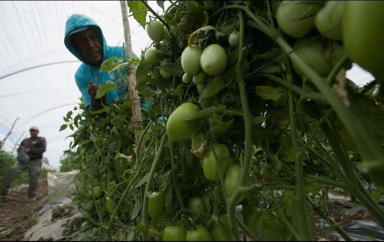 EMPRESARIOS DE MÉXICO Y EU ESTÁN EN CONTRA DE POSIBLES INCREMENTOS EN ARANCELES