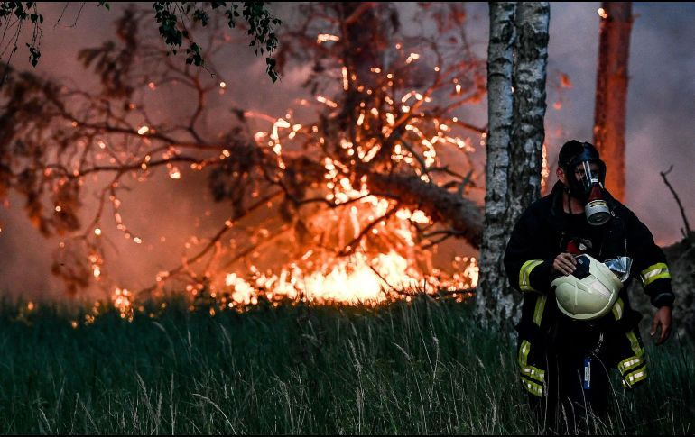 INCENDIOS FORESTALES AFECTAN 484 MIL 355 HECTÁREAS EN MÉXICO