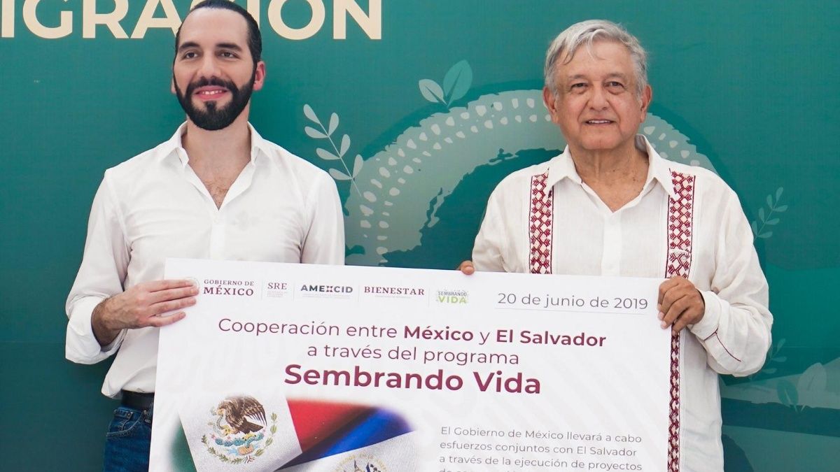 TIENEN UN PRESIDENTE DE LUJO: NAYIB BUKELE