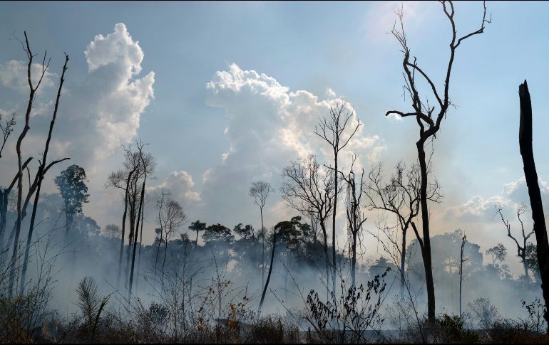 APARECEN NUEVOS INCENDIOS EN LA AMAZONÍA BRASILEÑA