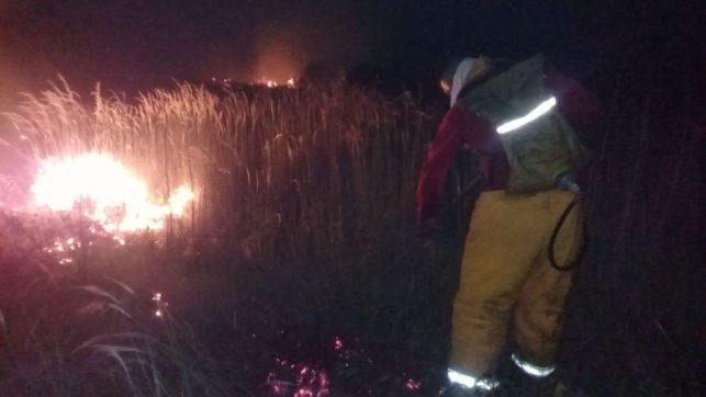 CONTROLA PERSONAL DEL IPC INCENDIO CERCA DE PLAYA MIRAMAR