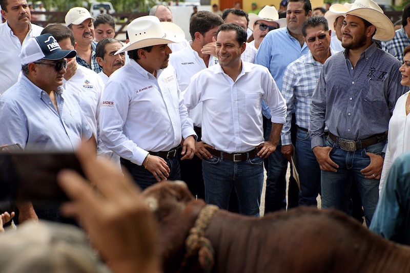 EL GOBERNADOR MAURICIO VILA DOSAL CONTINÚA APOYANDO A LOS PRODUCTORES GANADEROS DE YUCATÁN