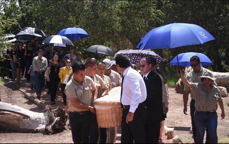 SOSPECHOSO DE ATAQUE EN EL PASO CONFESÓ QUE IBA POR MEXICANOS