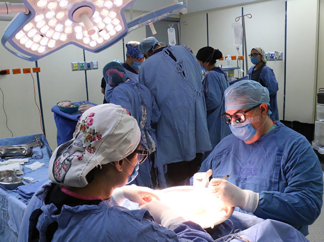 IMPULSA TABASCO ‘PROGRAMA DE TRASPLANTES’