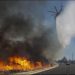 EMITEN ALERTA ROJA “EXTREMA” POR INCENDIOS EN CALIFORNIA