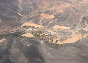 INCENDIOS AFECTAN 10 MIL 780 HECTÁREAS EN BAJA CALIFORNIA