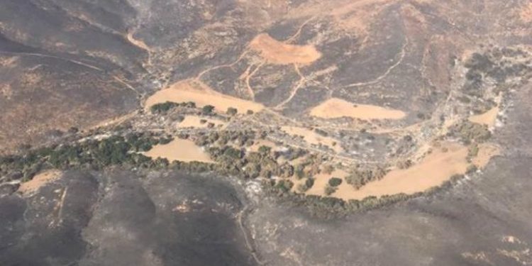 INCENDIOS AFECTAN 10 MIL 780 HECTÁREAS EN BAJA CALIFORNIA