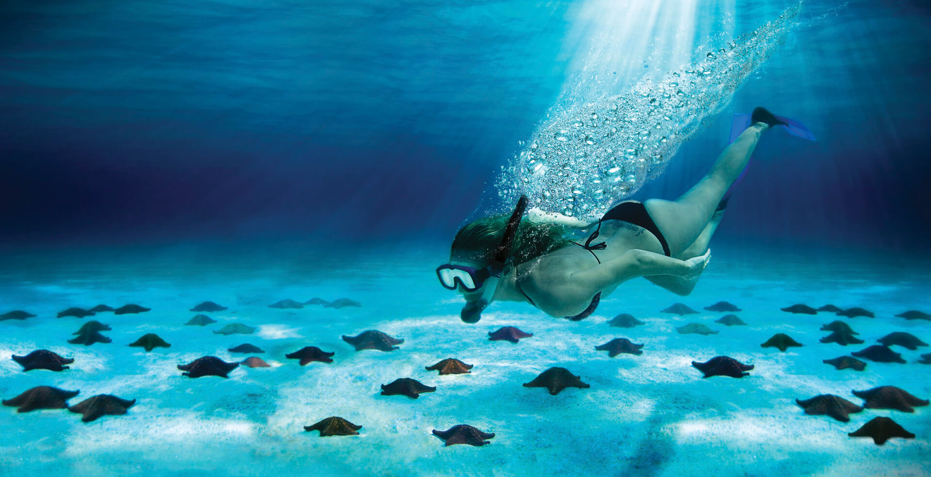 ‘EL CIELO PUEDE ESPERAR’