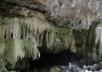 PRESENTAN INICIATIVA PARA PROTEGER ACUIFEROS MAYAS