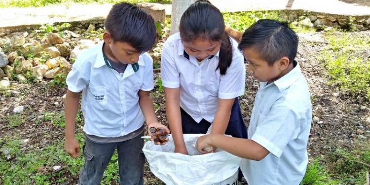 INTENSIFICA EL GOBIERNO DEL ESTADO LA LIMPIEZA DE CENOTES