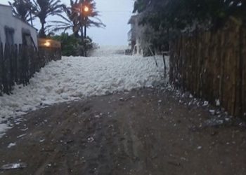 QUEDÓ DISIPADO FENÓMENO DE ESPUMA EN EL PUERTO DE SÁNCHEZ MAGALLANES