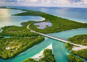 EL CORAZÓN DE  LA CULTURA MAYA