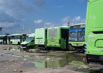 TRANSBUS SE RENUEVA EN ENERO