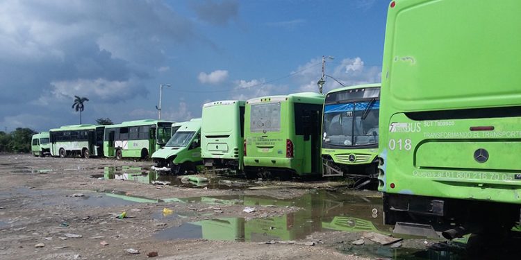 TRANSBUS SE RENUEVA EN ENERO