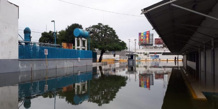 CAUSA ESTRAGOS FRENTE FRÍO NÚMERO 23 EN TABASCO