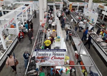 DEJA CFE SIN ENERGÍA ELÉCTRICA AL PINO SUÁREZ EN VÍSPERAS DE NAVIDAD