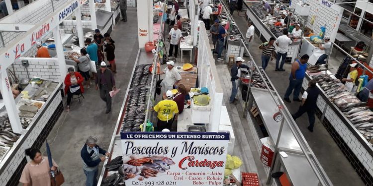 DEJA CFE SIN ENERGÍA ELÉCTRICA AL PINO SUÁREZ EN VÍSPERAS DE NAVIDAD