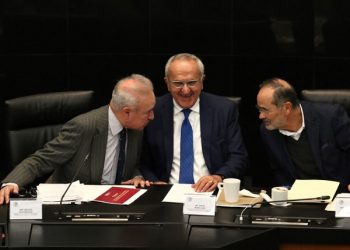 EL T-MEC NO PONE EN RIESGO A MÉXICO: SEADE