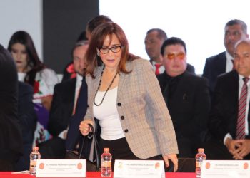 HASTA 2021, POSIBLE ELECCIÓN INTERNA DE MORENA: POLEVNSKY
