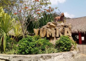 MANTIENE YUMKÁ EN CUARENTENA A 10 NUEVAS ESPECIES PARA SU ADAPTACIÓN