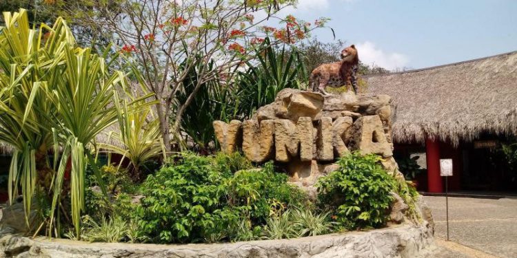 MANTIENE YUMKÁ EN CUARENTENA A 10 NUEVAS ESPECIES PARA SU ADAPTACIÓN