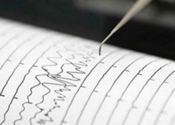 SE REGISTRA SISMO DE MAGNITUD 4.1 EN GUERRERO