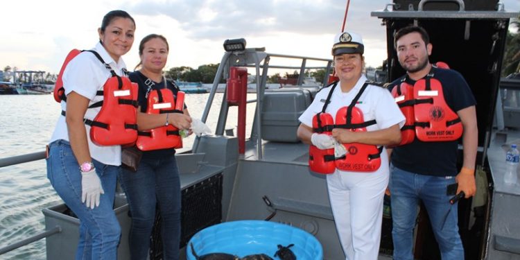 TORTUGAS MARINAS VUELVEN AL MAR LUEGO DE SEIS MESES DE REHABILITACIÓN EN PROGRESO