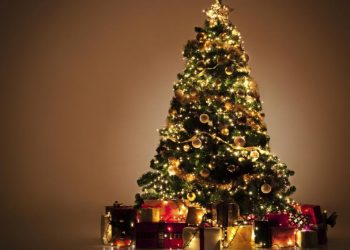 ORIGEN DEL ÁRBOL DE NAVIDAD