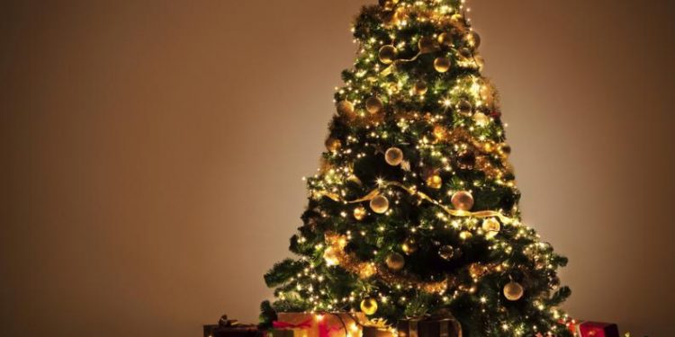 ORIGEN DEL ÁRBOL DE NAVIDAD