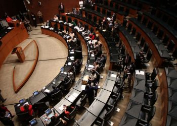 ELEVAR A RANGO CONSTITUCIONAL EL DERECHO AL CUIDADO, PROPONEN SENADORES