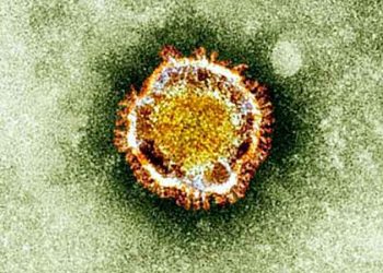 CONFIRMAN PRIMER CASO DE CORONAVIRUS DE CHINA EN ESTADOS UNIDOS